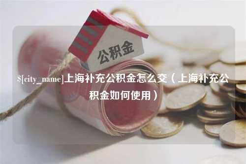 阿勒泰上海补充公积金怎么交（上海补充公积金如何使用）